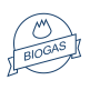 Biogas Engineering Performance